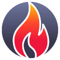 Buzz Wood Burning Fireplace Repair